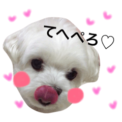 [LINEスタンプ] ぷりんのすたんぷ