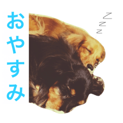 [LINEスタンプ] tanaka's dogの画像（メイン）