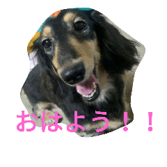 [LINEスタンプ] スタンプひめ