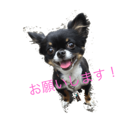 [LINEスタンプ] I love maca