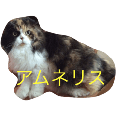 [LINEスタンプ] 大好き❤