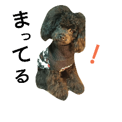 [LINEスタンプ] 可愛い愛犬スタンプ