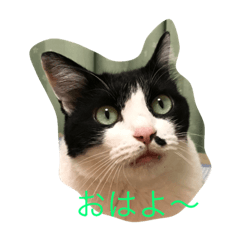 [LINEスタンプ] The sound of  all seasons  bell