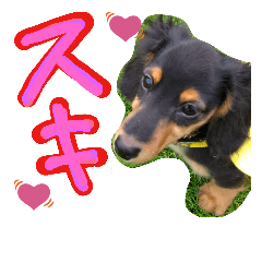 [LINEスタンプ] maron.0419