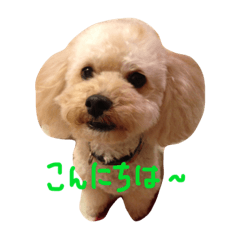 [LINEスタンプ] マロンのつぶやき