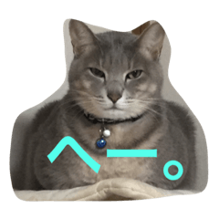 [LINEスタンプ] 我が家の猫さん。