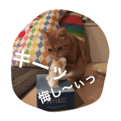 [LINEスタンプ] イチカワレーヴ