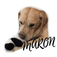 [LINEスタンプ] maromaromaron