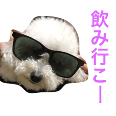 [LINEスタンプ] トイプードルもぐちゃん