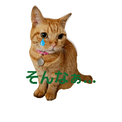 [LINEスタンプ] むーちゃん基本編