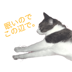 [LINEスタンプ] よく使える言葉♪普段やゲーム、様々に。