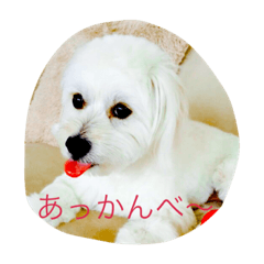 [LINEスタンプ] コロン丸2