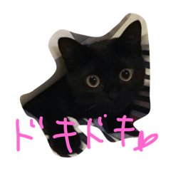 [LINEスタンプ] 黒猫クロエだよ！ パート2