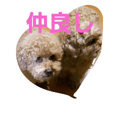 [LINEスタンプ] すねこ犬