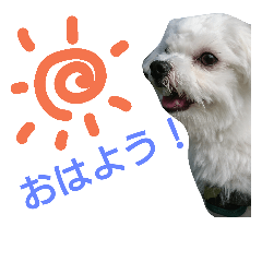 [LINEスタンプ] ろんくんの日常