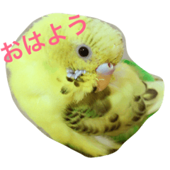 [LINEスタンプ] kiiiichan