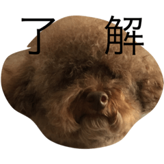 [LINEスタンプ] ゴリラじゃないよドゴだよ