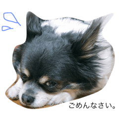[LINEスタンプ] よくつかうかも。