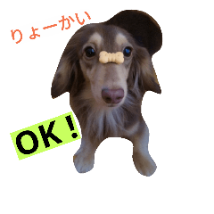 [LINEスタンプ] 我が家のニャンとワン