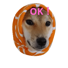[LINEスタンプ] 柴犬 やんちゃそらくん！