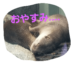 [LINEスタンプ] 海の動物スタンプdesu