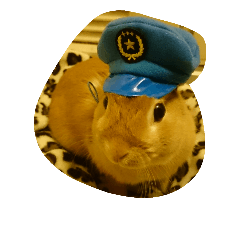 [LINEスタンプ] rabbit happy stamp