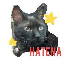 [LINEスタンプ] おはぎ猫はてな