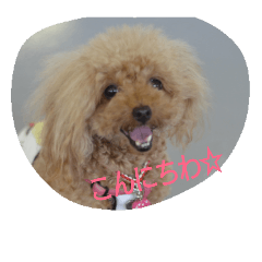 [LINEスタンプ] I Love Angle
