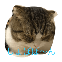 [LINEスタンプ] 凛と陸