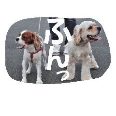 [LINEスタンプ] うじゃに2