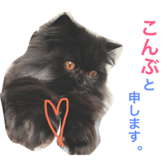 [LINEスタンプ] モジャ昆布さん