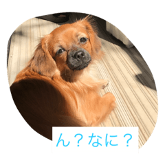 [LINEスタンプ] SORAKUNKAWAII