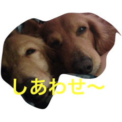 [LINEスタンプ] Muku＆Riku