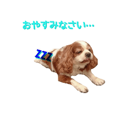 [LINEスタンプ] キャバちゃんず