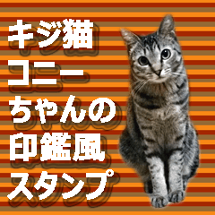 [LINEスタンプ] キジ猫コニーちゃんの印鑑風スタンプ