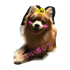 [LINEスタンプ] もあれお