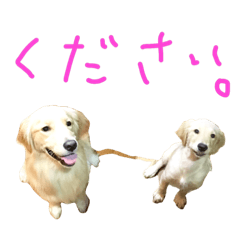 [LINEスタンプ] 穀物ズのまいにちスタンプ