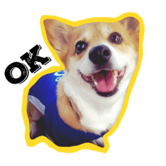[LINEスタンプ] ちょこさん vol.1