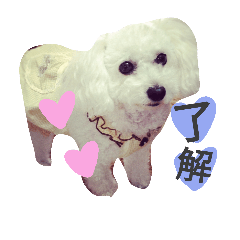 [LINEスタンプ] よく使う☆癒やしのふうにゃん