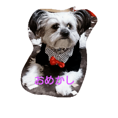 [LINEスタンプ] family Leon