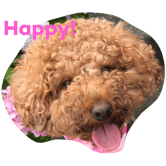 [LINEスタンプ] ぽぽちゃんスタイル