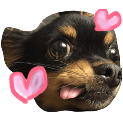 [LINEスタンプ] たえの日常生活♡