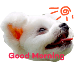 [LINEスタンプ] まいどっぐぽぽまる 