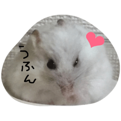 [LINEスタンプ] ハムスターのおともだち