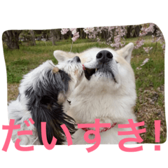 [LINEスタンプ] 仲良しパティと。