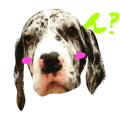[LINEスタンプ] Great Dane Oliver