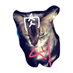 [LINEスタンプ] ふてくされキャット