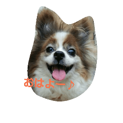 [LINEスタンプ] パピヨンのももじ！