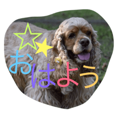 [LINEスタンプ] c＆j