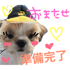 [LINEスタンプ] ロコちゃんスタンプ